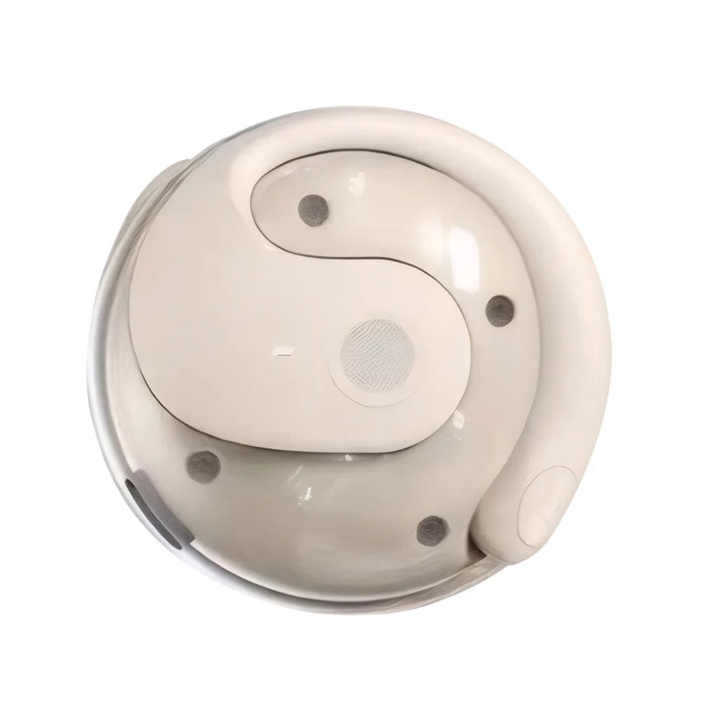 144 Languages Wireless AI Translator Earbuds